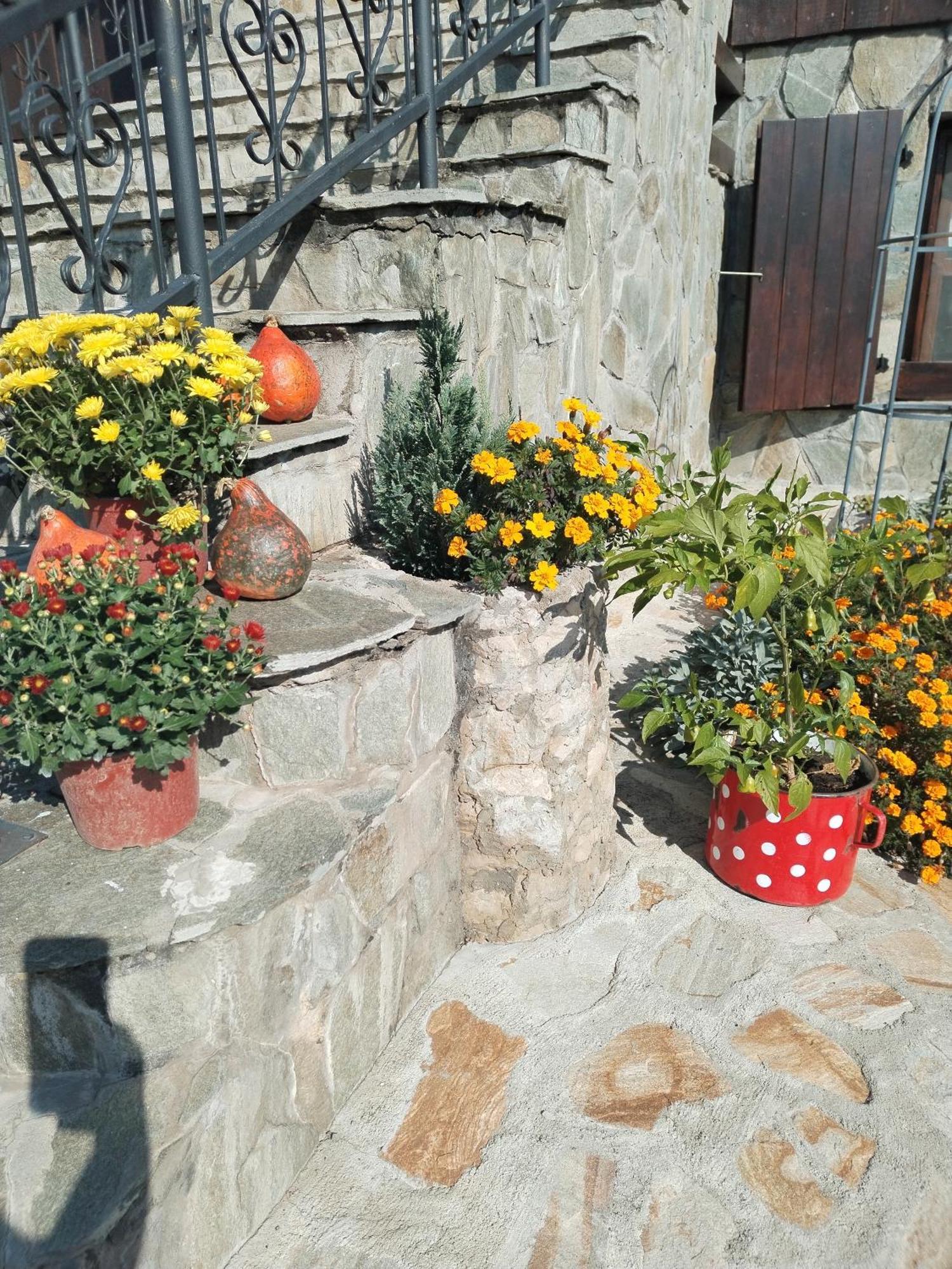 Villa Seosko Turisticko Domacinstvo Imunsan Ni Exterior foto